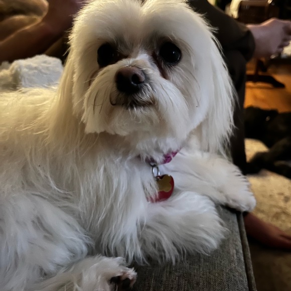 Meet your Posher, Jane - Picture 3 of 5